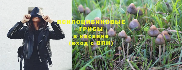 Альфа ПВП Гусь-Хрустальный