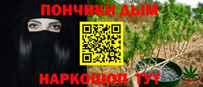 сатива Беслан