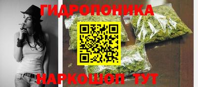 Альфа ПВП Бийск