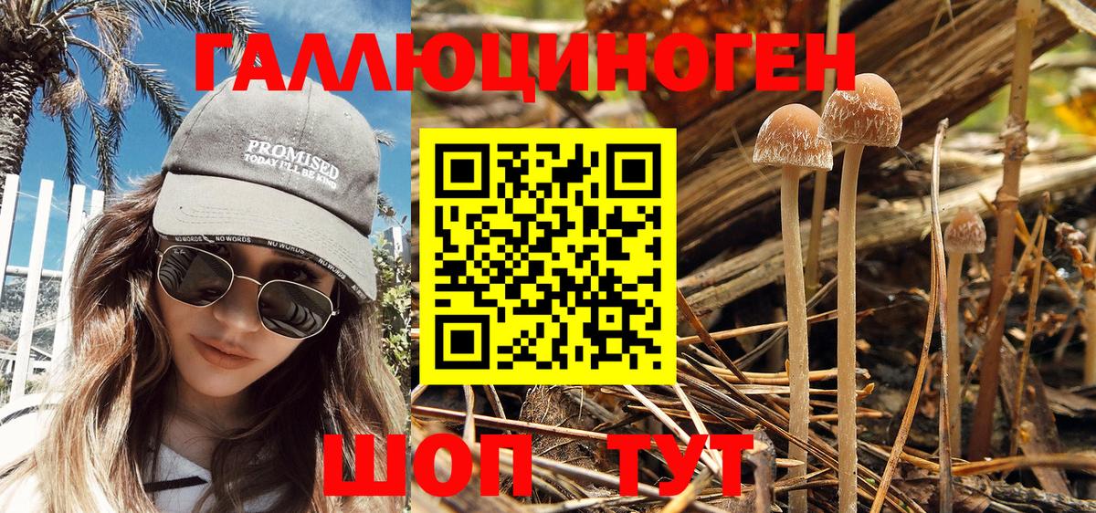 Псилоцибиновые грибы MAGIC MUSHROOMS  Дедовск 