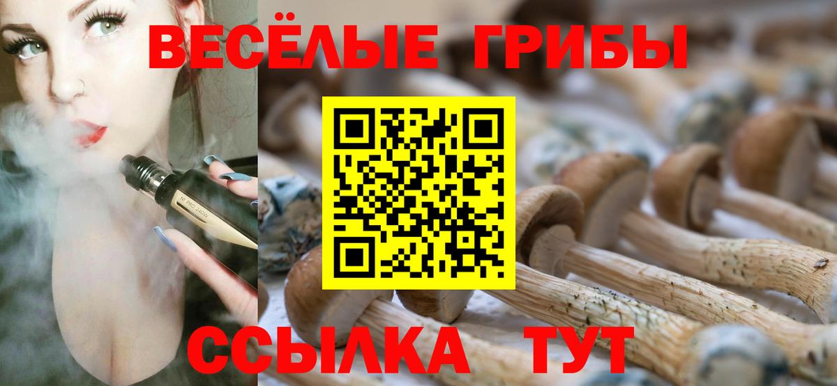 Галлюциногенные грибы Psilocybine cubensis  Вход с VPN  Дедовск 